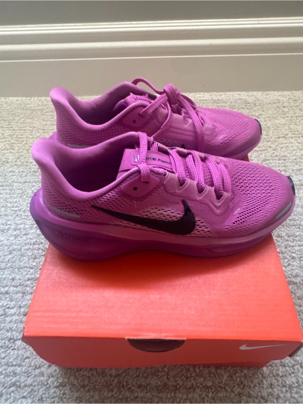 Nike Kids Pegasus Shoes - NIB, size 1